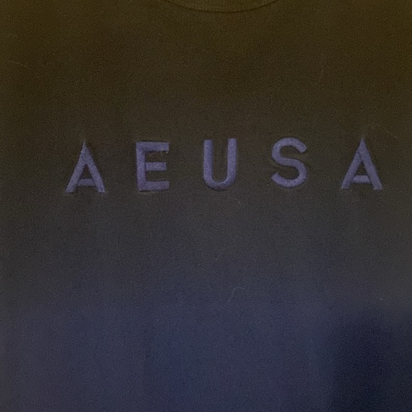 American Eagle men’s tshirt. Embroidered logo. Size Large. EUC - Picture 2 of 3